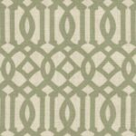 Cotton-Aster-010