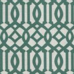 Cotton-Aster-3025