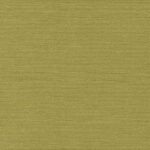 Cotton-Fiber-034