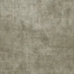 Famous-Plus-038