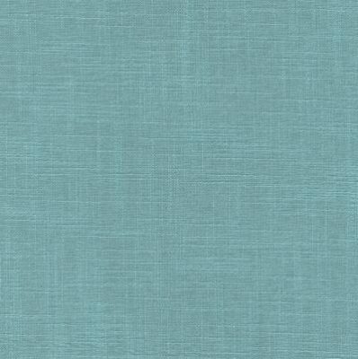 Aster-Plus-026-398x400