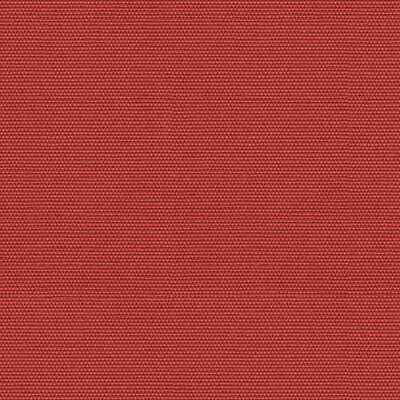 Sarvents-Cotton-037